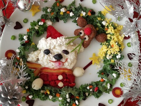 キラキラ魔法のクリスマスプレート犬ご飯